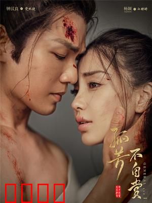 孤芳不自赏纪录片寻芳纪