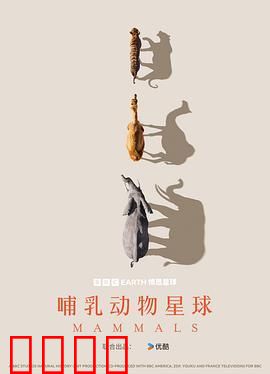 哺乳动物星球
