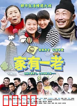 家有一老