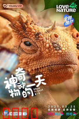 神奇动物的一天 第一季