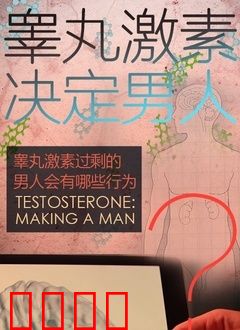 睾丸激素决定男人