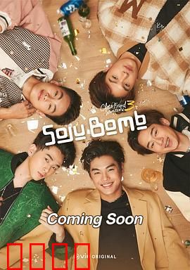 亲朋密友3 烧酒炸弹