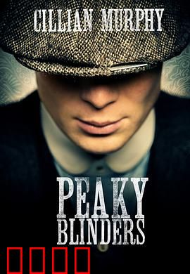 浴血黑帮 第一季