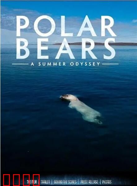 北极熊：一个夏天的奥德赛