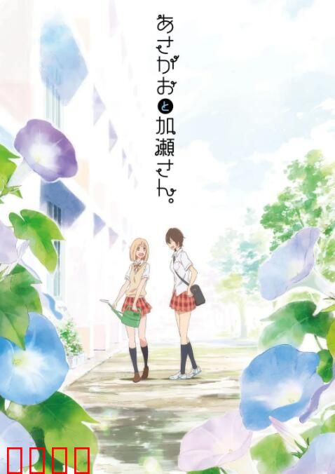 牵牛花与加濑同学。