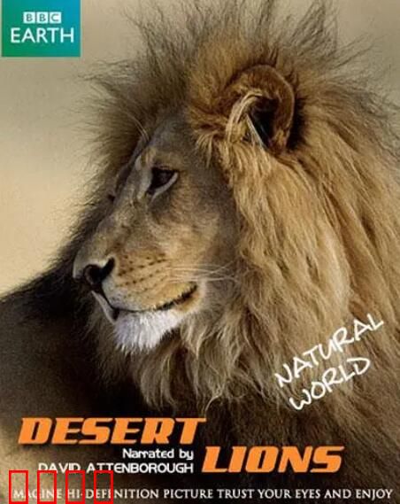 自然世界：沙漠狮
