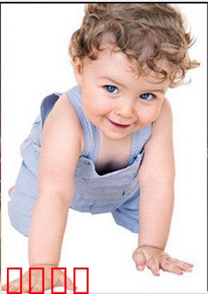 阳光宝宝爬行大赛