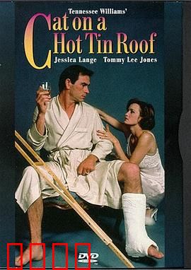 热铁皮屋顶上的猫