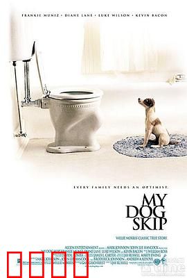 我的小狗斯齐普