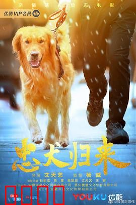 忠犬归来
