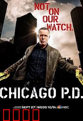 芝加哥警署 第五季