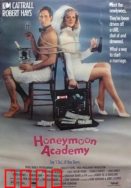 翻天覆地龙凤配