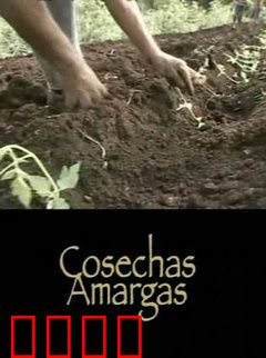 苦涩的收获
