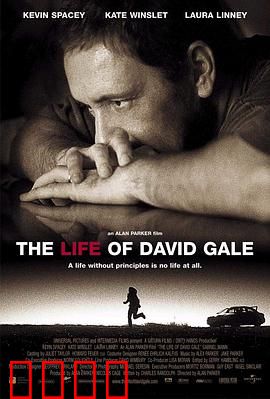 大卫·戈尔的一生