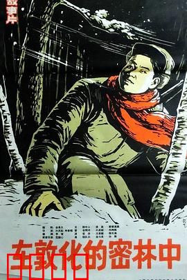 在敦化的密林中