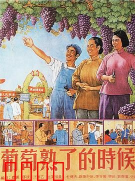 葡萄熟了的时候