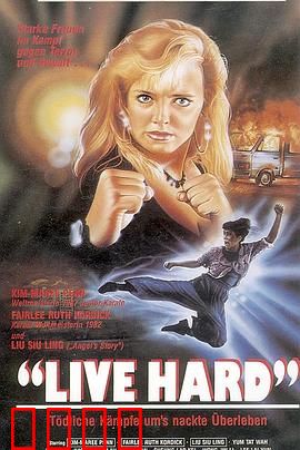 铁胆雄风（国语版）