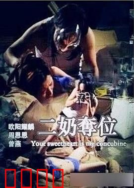 二奶夺位