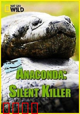 蟒蛇：沉默杀手