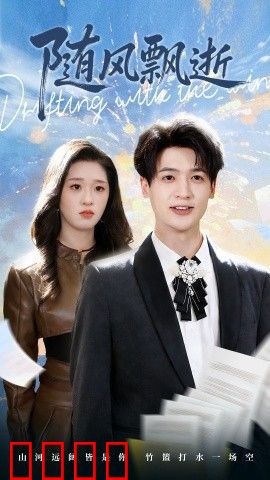 随风飘逝