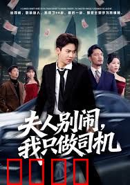 夫人别闹我只做司机