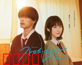 闪烁的爱情 第二季