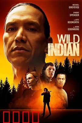 狂野的印第安人