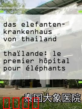 泰国大象医院