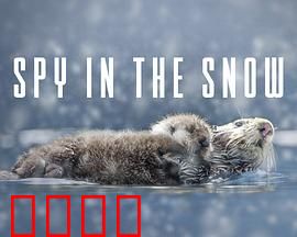 冰雪间谍