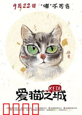 爱猫之城国语
