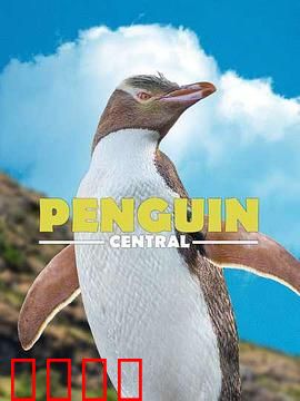 探秘企鹅王国