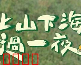 上山下海过一夜