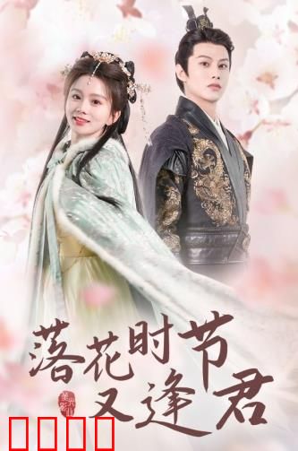 落花时节又逢君短剧