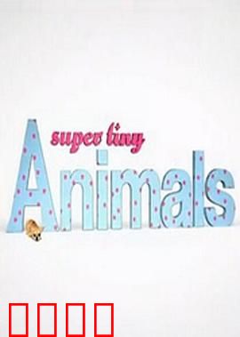 微型萌宠大本营