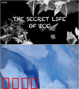 冰的秘密