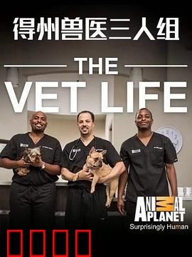 德州兽医三人组第一季