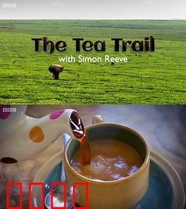 和西蒙·里夫一起寻茶