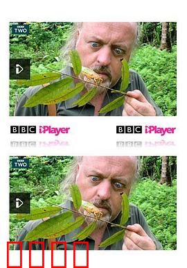 比尔·贝利的丛林英雄