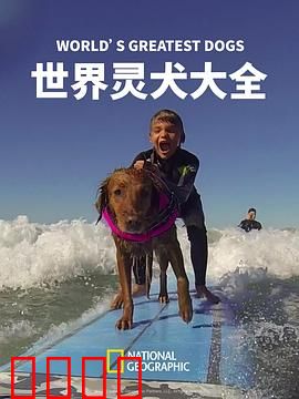 世界灵犬大全