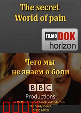 地平线系列：疼痛的秘密