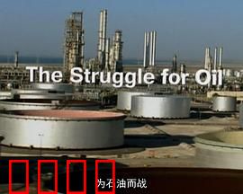 为石油而战
