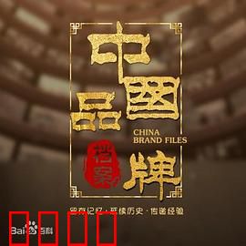 中国品牌档案