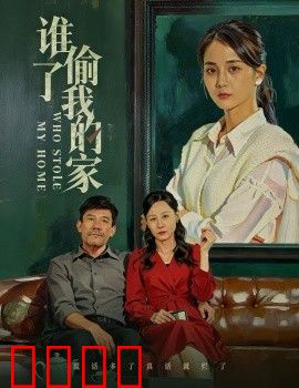 谁偷了我的家
