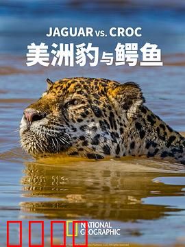 美洲豹与鳄鱼