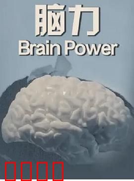 脑力