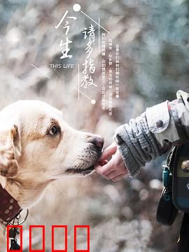 今生，请多指教第三季