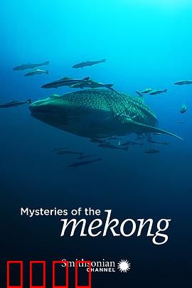 湄公河之谜