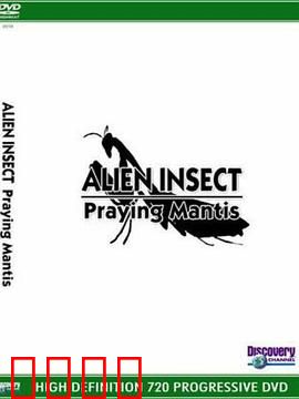 异形昆虫：螳螂