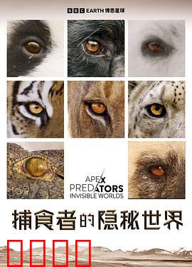 捕食者的隐秘世界