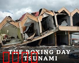 印度洋大海啸第一季